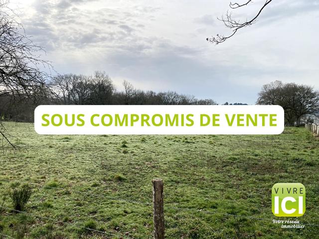 Rouans Vente Terrain 44