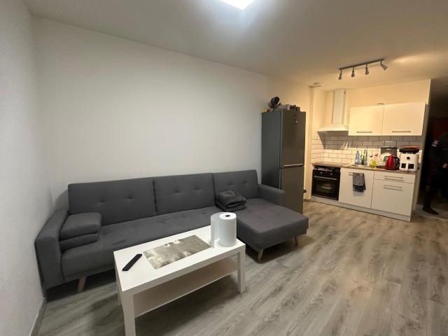 Roubaix Location Appartement 59