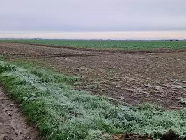 Roucourt 59169 Programme neuf terrain neuf à vendre