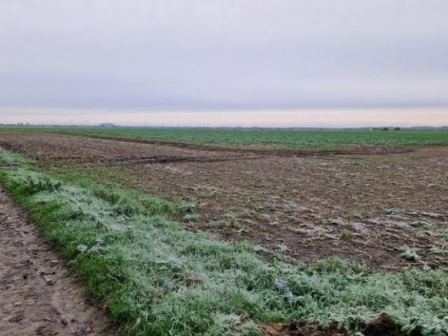 Roucourt Vente Terrain 59
