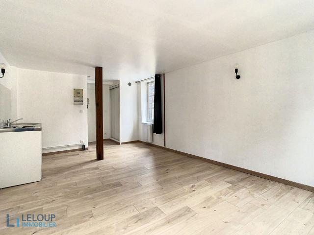 Rouen Location appartement 1 pièce 25m2 500 € CC Réf: 1479 Leloup Immobilier