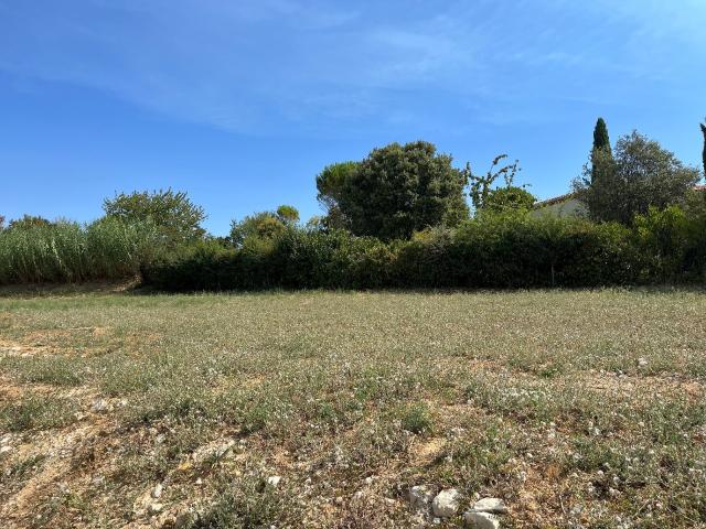 Rouffiac Vente Terrain 81