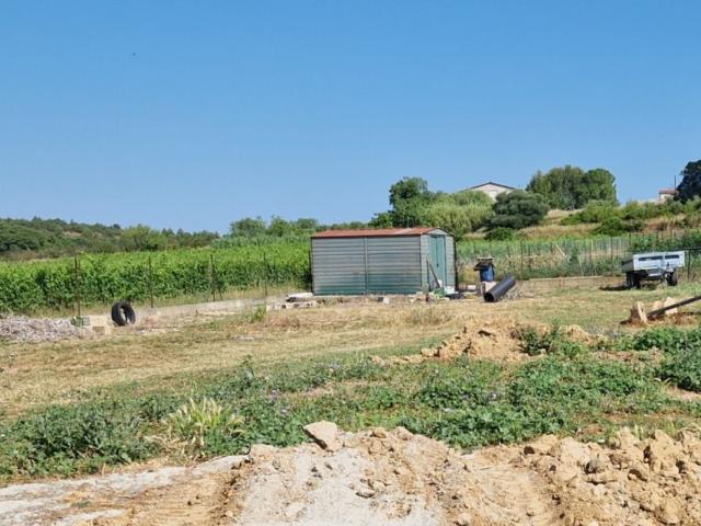Roujan Vente Terrain 34