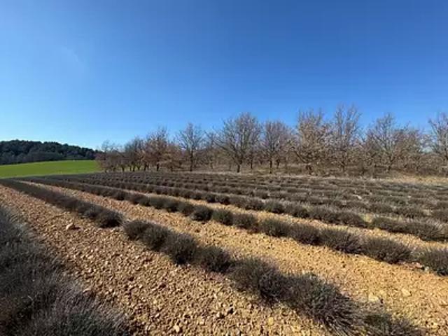 Roumoules 04500 Achat / Vente terrain