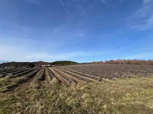 Roumoules 04500 Programme neuf terrain neuf à vendre