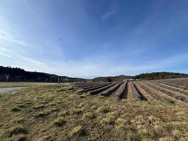 Roumoules 04500 Programme neuf terrain neuf à vendre