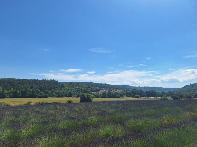 Roumoules Vente Terrain 04