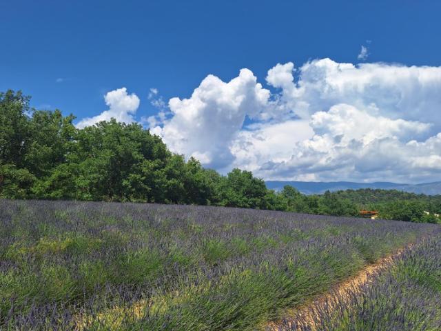 Roumoules Vente Terrain 04