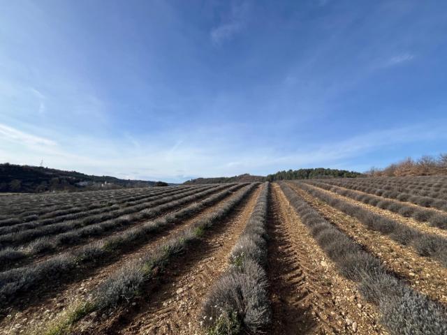 Roumoules Vente Terrain 04