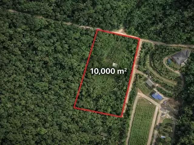 Roura 97311 Achat / Vente terrain