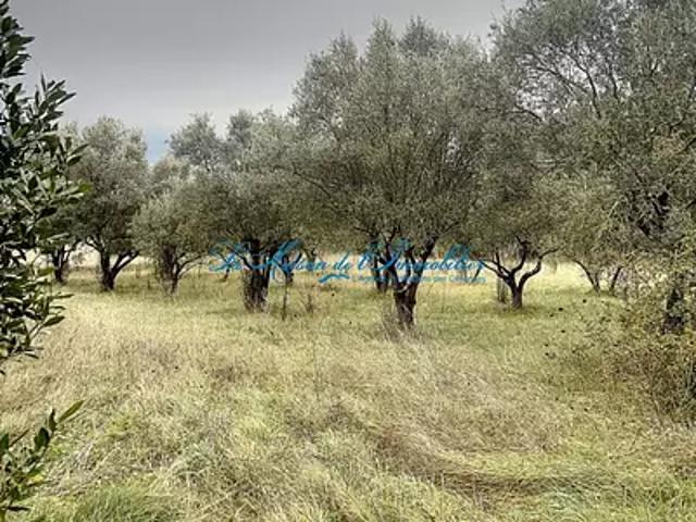 Rousson 30340 Achat / Vente terrain