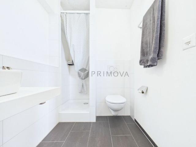 Row house with 4.5 rooms on sale in Erlen 148 m² | dreamo. Ch