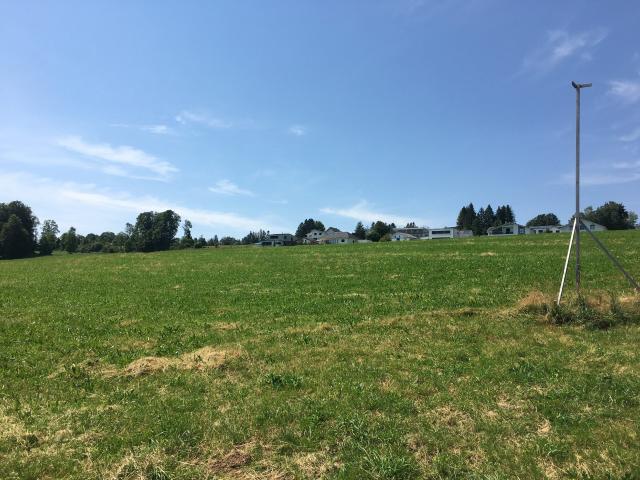 Row house with 5.5 rooms on sale in Le Noirmont 147 m² | dreamo. Ch
