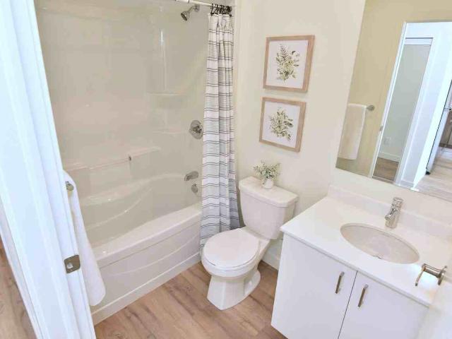 Roxy Apartments 1 Bedroom Apartment for Rent at 16 Roxanne Dr, Hamilton, ON L8H 0C1