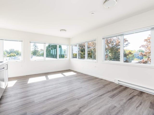 Royal Arms 1 Bedroom Penthouse [object Promise] for Rent