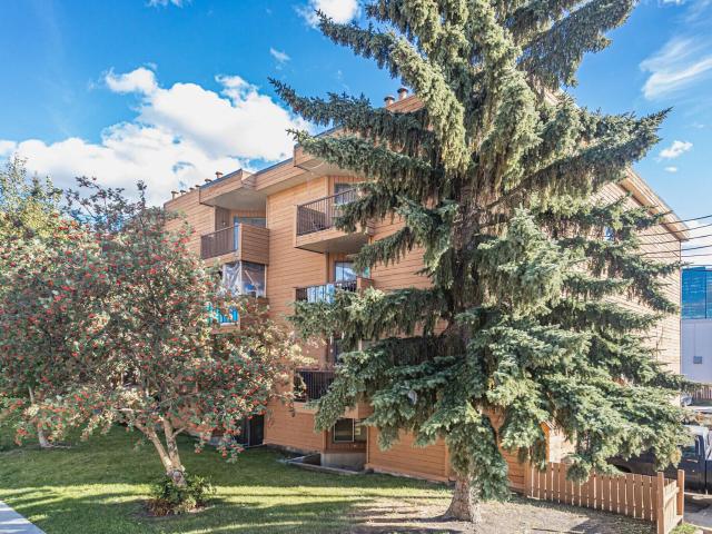 Royal Lady Ask about our great incentives! 1 Bed [object Promise] for Rent