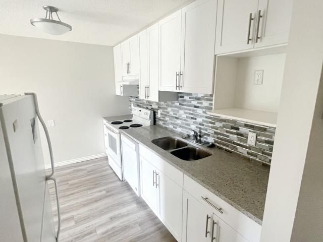 Royal Meadow Apartment 1 Bedroom [object Promise] for Rent