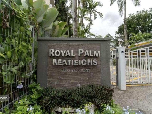 Royal Palm Mansions D5, Condominium