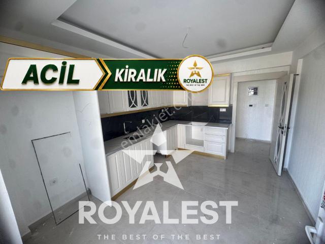 Royalest Te Yeni Yapıda Kaçırılmıcak Fırsat