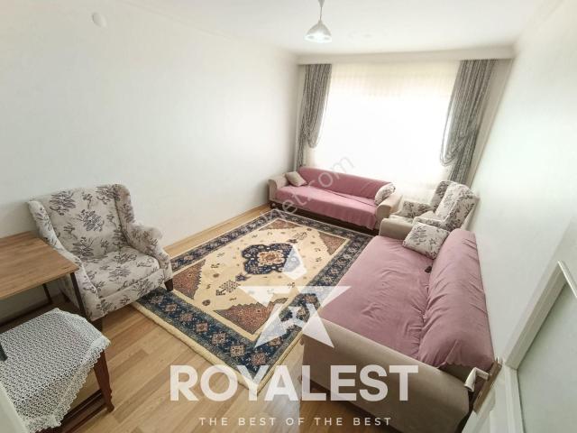 Royalest'ten Ara Kat Park Cepheli Fırsat 2+1!