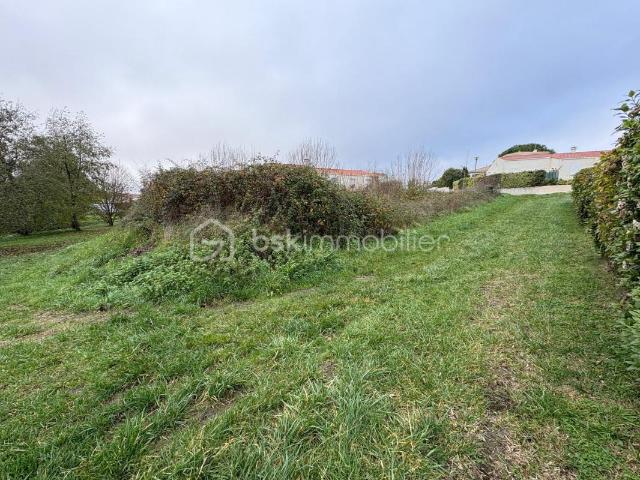 Royan Vente Terrain 17