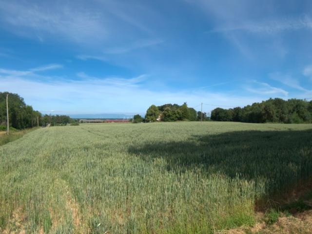 Roybon Vente Terrain 38