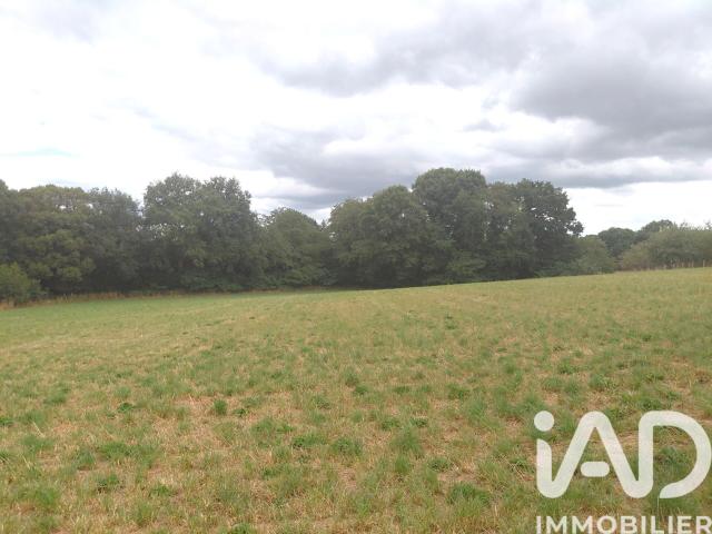 Royères Vente Terrain 87