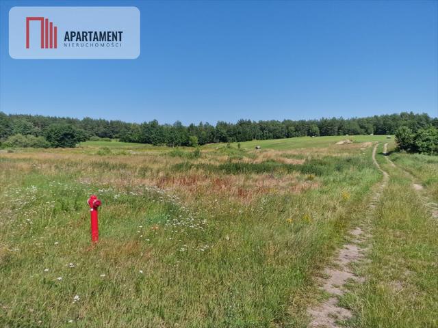 Duża działka 8308 m² z warunkami zabudowy w Roztoce
