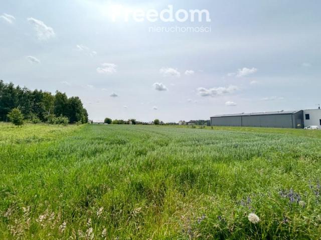 Rozwojowa 890 m², Grębiszew