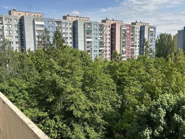 Rozkładowe 3 pokoje z dużą loggią i widną kuchnią