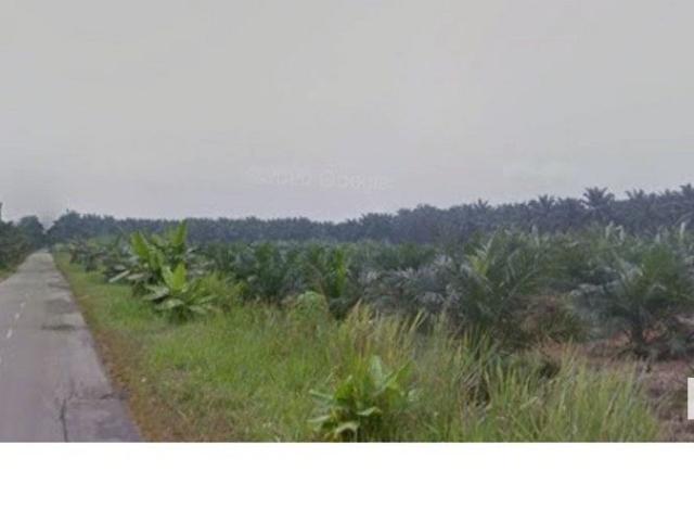 RM1.5m per Acre, 39 Acres, Frontage Main Road! Jenjarom Seri Cheeding Agricultural Land for Sale