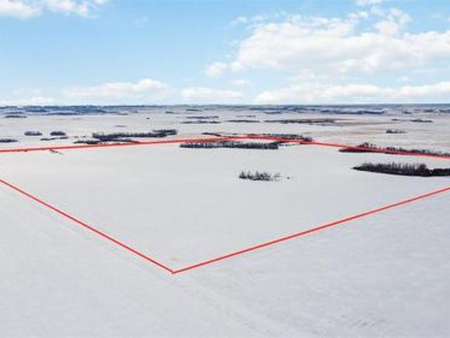 Rm Of Great Bend 159 Acres, Great Bend Rm No. 405, SK, S0K 0N0 farm for sale | Listing ID SK028966 | Royal LePage