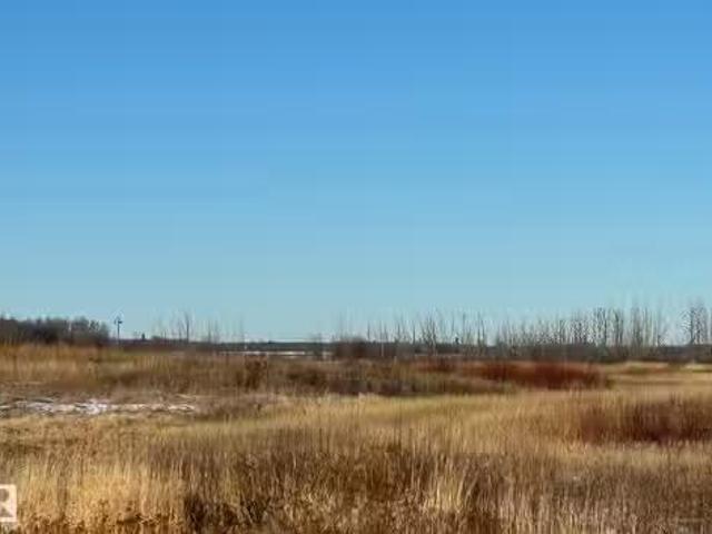 Rr 205 Hwy 28, Rural Thorhild County, AB, T0A 2V0 vacant lan.