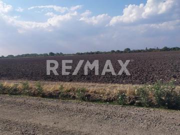 RRFV VENTA RANCHO SAN LUIS DE LA PAZ GTO