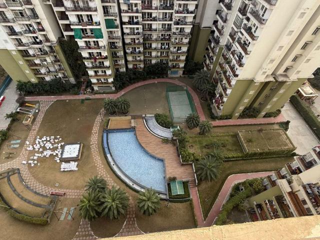 RWA Apartments Sector 71 3 Bedroom 1525 Sq. Ft. Independent House in Sector 71 Noida Listing ID: #10151