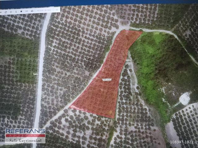 RT SAFİR'DEN MUDANYA DERE KÖY'DE YATIRIMLIK TARLA