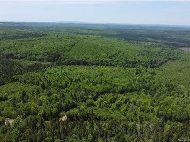 Rte 695, Springfield, NB, E5T 2L7 vacant land for sale | Listing ID NB141556 | Royal LePage