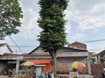 Rumah dijual di Bondowoso Kota, Bondowoso