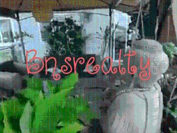 Rumah dijual di Lovina, Buleleng