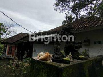 Rumah disewa di Mengwi, Badung