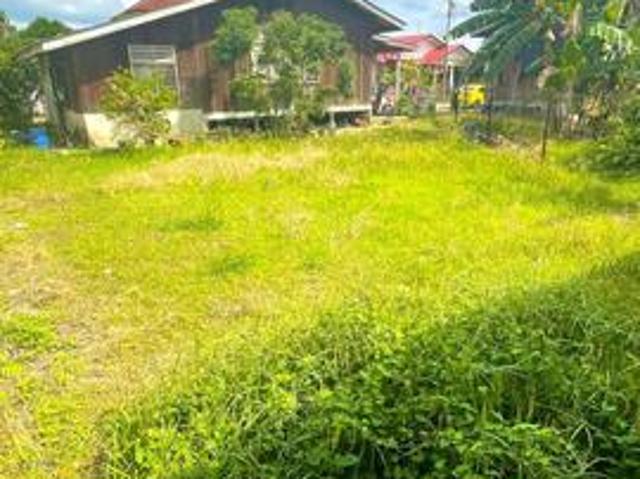 Rumah sungai isap