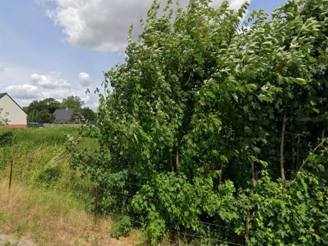 Rumaucourt Vente Terrain 62