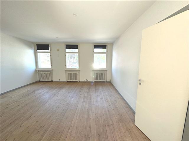 Rummelig 2 værs lejlighed, Viborg