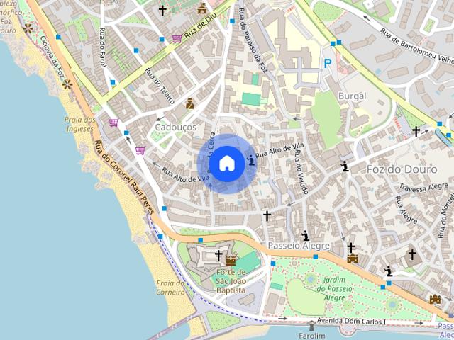 Rua do Alto de Vila, Porto, Porto District 4150 059