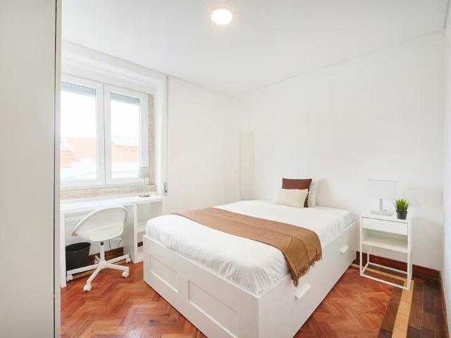 Rua Fialho de Almeida, Lisbon, Lisbon 1070 095