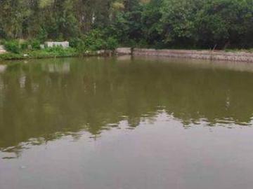 Ruang Usaha dijual di Cikampek, Karawang