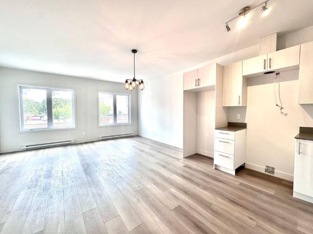Rue Bélanger, H2G 1B3, Montréal