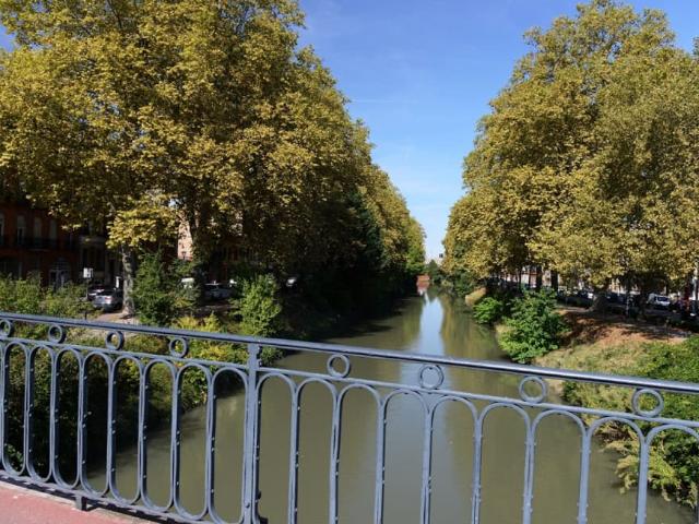 Rue de la Colombette, Toulouse Amsterdam Apartments for Rent