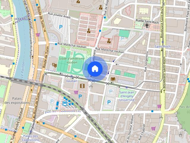 RUE MGR ALFRED DAUMAS