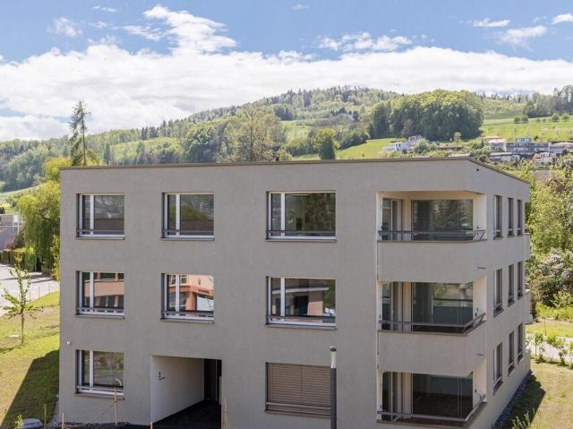 Ruhe, Natur und Lebensqualität am Hallwilersee